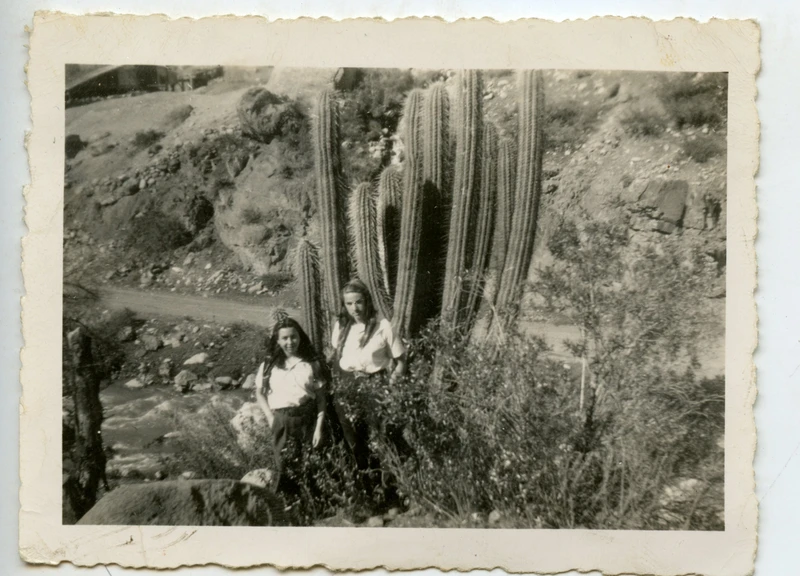 Dos mujeres y cactus