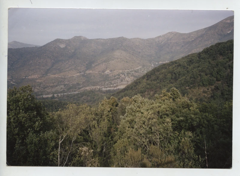 Paisaje de cerro