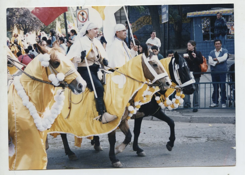 Caballos en Cuasimodo